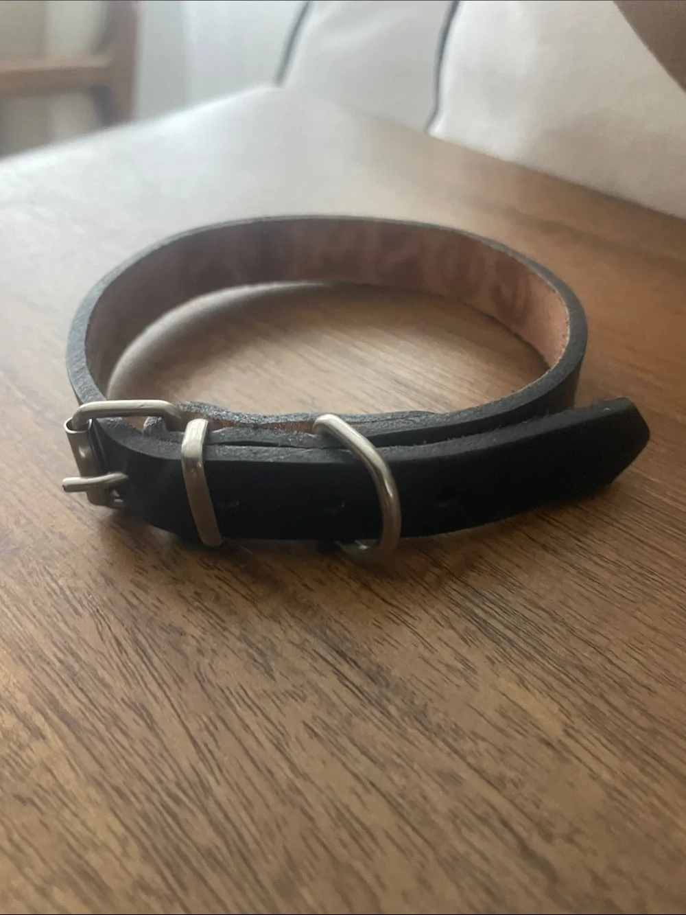 Black Leather 'COSMOS' Embossed doggie collar.